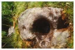Photograph of a cup-marked boulder, Osmaril Gill, Barningham Moor 1980-1997