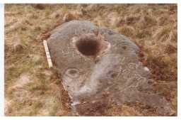 Cup-and-ring-marked boulder, Eel Hill North, Barningham Moor 1980-1997