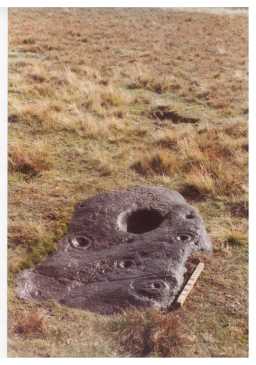 Clear multiple rings on a boulder, Eel Hill North, Barningham Moor 1980-1997