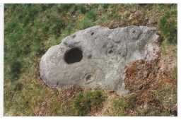 Deep cup and multiple cup-and-ring-marked boulder, Eel Hill North, Barningham Moor 1980-1997