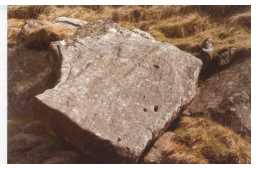 Cup-and-ring-marked boulder, Osmaril Gill, Barningham Moor 1980-1997