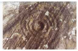 Cup and 4 concentric ring-markings on a boulder, Osmaril Gill, Barningham Moor 1980-1997
