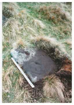 Rock art on a boulder with scale, Osmaril Gill, Barningham Moor, Teesdale 1980-1997