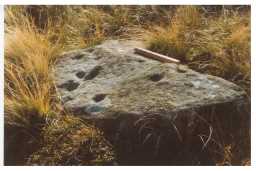 Cup-marked boulder with scale, Osmaril Gill, Barningham Moor 1980-1997
