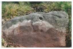 Cup-and-ring-marked boulder, Osmaril Gill, Barningham Moor, Teesdale 1980-1997