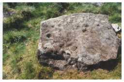 Cup-marked boulder, Eastern enclosure site, Barningham Moor 1980-1997