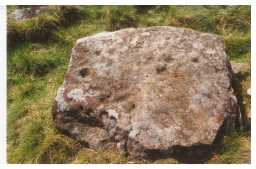 Multiple cups and cup-and-ring-marked boulder, Eastern enclosure site, Barningham Moor 1980-1997