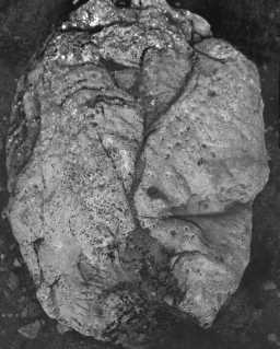 Plan view of Robin Hood's Stone, Lunedale 2018