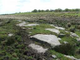 Landscape view of rock art panel, The Rigg, Lartington 2004