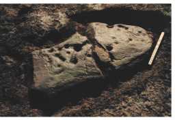 Photograph of a complex, cup-marked boulder, Kearton Rigg, Loups' Hill 1980-1997