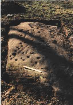 Close-up image of a cup-marked outcrop, The Rigg, Lartington 1980-1997 Close-up image of a cup-marked outcrop, The Rigg, Lartington 1980-1997