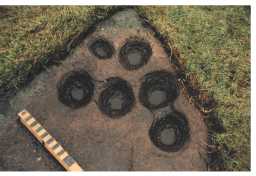 Close-up image, plus scale, of a cup-marked boulder, Bracken Heads, Marwood Parish 1980-1997
