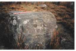 Photograph of a cup-and-ring-marked boulder, Langleydale Common, Raby with Keverstone 1980-1997