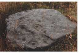 Oblique view of a cup-marked boulder, Egglestone Abbey, Barnard Castle 1980-1997