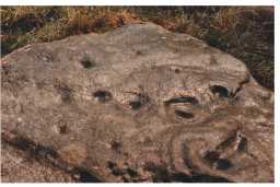 Oblique photograph of a cup-marked boulder, Egglestone Abbey, Barnard Castle 1980-1997