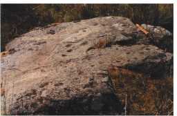 Photograph of a cup-and-ring-marked boulder, Goldsborough Rigg, Cotherstone 1980-1997