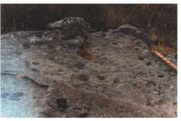 Image of a cup-and-ring-marked boulder, Goldsborough Rigg, Cotherstone 1980-1997