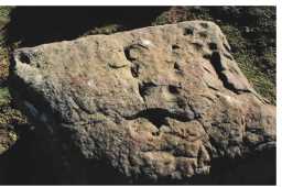 Photograph of a cup-marked stone, Grey Stones, Barningham Moor, Teesdale 1980-1997