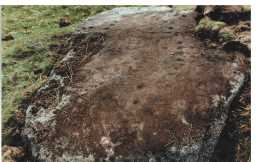 Photograph of a cup-and-ring-marked boulder, Loups' Hill, Cotherstone 1980-1997