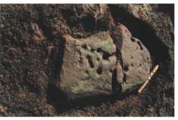 Photograph of a cup-marked outcrop, The Rigg, Lartington, Teesdale 1980-1997