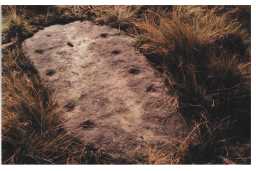Photograph of a cup-and-groove marked boulder, Osmaril Gill, Barningham Moor, Teesdale 1980-1997