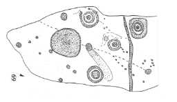 Illustration of a complex cup-and-ring-marked boulder, Eel Hill North 1980-1997