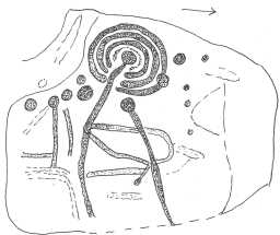 Drawing of a cup-and-ring-marked boulder, Scale Knoll, Barningham Moor 1980-1997 Drawing of a cup-and-ring-marked boulder, Scale Knoll, Barningham Moor 1980-1997