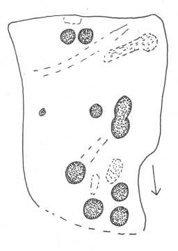 Illustration of multiple cup markings on a boulder on Barningham Moor 1980-1997
