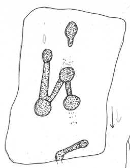 Illustration of a cup-and-groove-marked boulder, Scale Knoll, Barningham Moor 1980-1997
