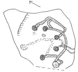 Illustration of a cup-and-groove-marked boulder, Osmaril Gill, Barningham Moor 1980-1997