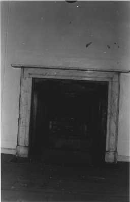 Fireplace of Aykley Heads House Fireplace of Aykley Heads House