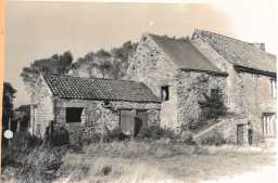 South portion of Medieval College building. The extreme right shows a 19th century barn extension. Unknown South portion of Medieval College building. The extreme right shows a 19th century barn extension. Unknown