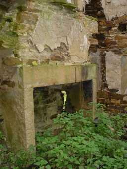 First image Fireplace from unknown building 20/10/2005