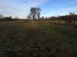 Potential Roman Road extending east of Dere Street from the RR820 junction © D Armstrong 2016