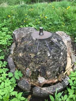 1 picture of a Spigot Mortar Pedestal, Shincliffe Bridge, facing north 4/5/24