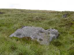 Newbiggin Carr Crags © Trailguides 2008