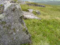 Newbiggin Carr Crags © Trailguides 2008