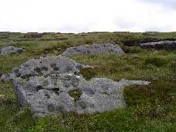 Newbiggin Carr Crags © Trailguides 2008