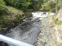 Wynch Bridge, Low Force, Newbiggin (& Holwick)