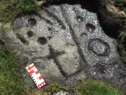 Cup-marked outcrop, The Rigg, Lartington, Teesdale